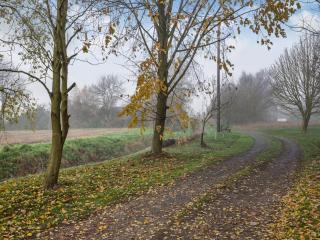 Larks Nest - Wortham - 2