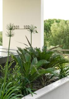 Eco Green Residences & Suites - Torone - 4