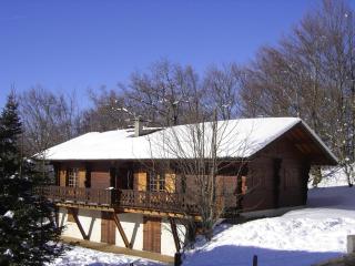Appartement chalet rénové 6 pers avec terrasse proche Evian, ski et randonnée - FR-1-498-29 - Saint-Paul-en-Chablais - 0
