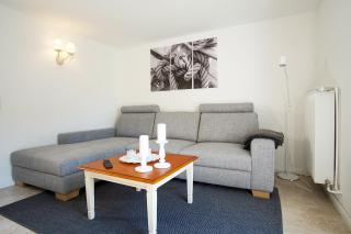 Kleiner Strandläufer - 9