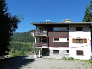 Appartement cosy 4*, pied de pistes avec WIFI - FR-1-304-149 - La Clusaz - 9