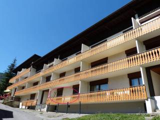 Appartement 3*** à La Clusaz, proche commerces et pistes, 4-6 voyageurs - FR-1-304-98 - 1