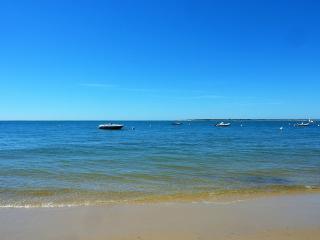 Arcachon : T2 moderne à 2 pas de la plage avec balcon, WiFi, parking et TV cinéma - FR-1-420-71 - Arcachon - 1