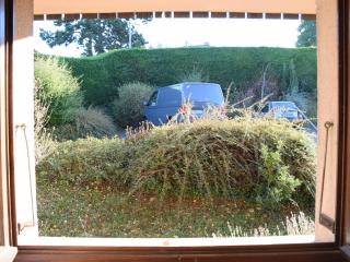 Appartement cosy au calme avec terrasse, parking, et internet à Évian - FR-1-498-15 - Évian-les-Bains - 1