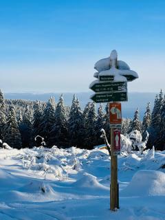 Berggasthof Heuberghaus, direkt am Rennsteig - Friedrichroda - 1