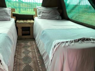 Manico Camp - 2