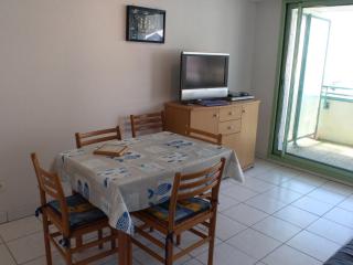 Appartement T2 face mer avec balcon et animaux admis - FR-1-482-16 - Fort-Mahon-Plage - 8