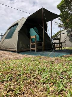 Manico Camp - 6