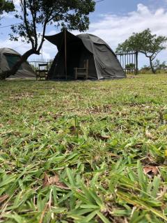 Manico Camp - 4
