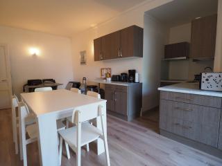 Appartement en Centre-Ville avec Terrasse et Parking, Accès Direct à la Plage - FR-1-474-4 - Arcachon - 7