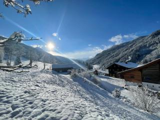 Arlerhof - Untertauern - 2