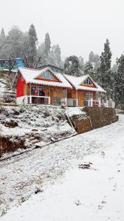 Boho Homestay, Rangbhang - Darjeeling - 9
