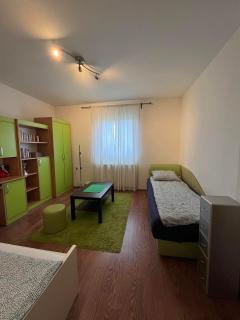 Apartman Nikola - Belgrado - 1