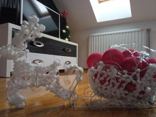 Apartman Teodora - Zlatibor - 1
