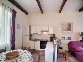 Charmant F2 avec terrasse près du centre et des thermes, animaux acceptés, options de services disponibles - FR-1-451-31 - Lamalou-les-Bains - 8