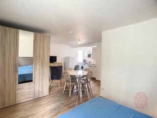 Studio cosy à 50m des Thermes de Lamalou-les-Bains avec terrasse, wifi et animaux acceptés - FR-1-451-46 - Lamalou-les-Bains - 3