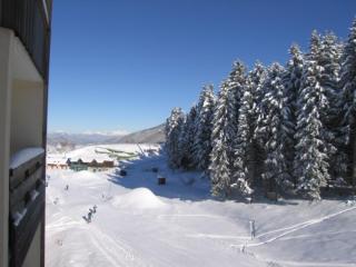 Studio cabine pieds des pistes avec balcon et casier à skis - FR-1-557-47 - Les Adrets - 4