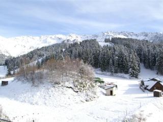 2 pièces cabine au pied des pistes, balcon, casier à skis - FR-1-557-93 - 2