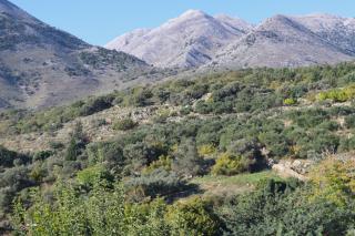 Luxury love nest with hot tub & heated pool - Kournás - 2