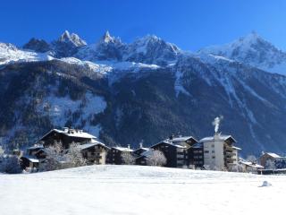 Studio au pied des pistes avec parking et WiFi - FR-1-343-162 - Chamonix-Mont-Blanc - 8