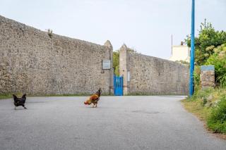 Gîtes Neige d'écume - 2