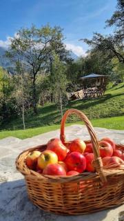 Mountain Home Bran - 2