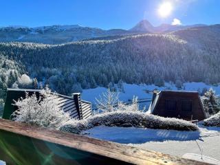 Chalet confortable dans le Vercors - FR-1-515-28 - 0