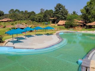The Dandelion - Colonels Jungle Resort - Khānāpur - 1
