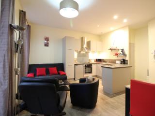 Bel appartement T2 rénové avec wifi au centre du Mont-Dore, proche des Thermes et pistes - FR-1-608-181 - Le Mont-Dore - 8
