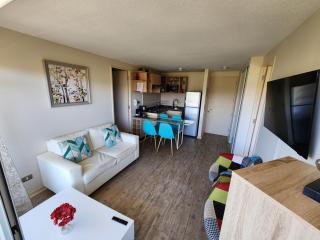 HERMOSO DEPARTAMENTO ALGARROBO NORTE - 9