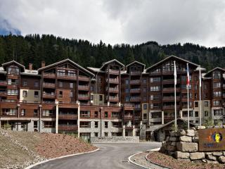 Appartement 3 pièces avec cheminée, accès pistes, piscine, spa, WIFI - Flaine Montsoleil - FR-1-425-140 - Flaine - 3