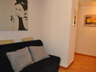 Charmant appartement avec grande terrasse exposée plein sud et garage! - FR-1-692-26 - La Chapelle-dʼAbondance - 4
