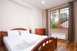 Dilijan Dream House! 3 Bedroom Amazing Villa in National Park! - Dilijan - 2
