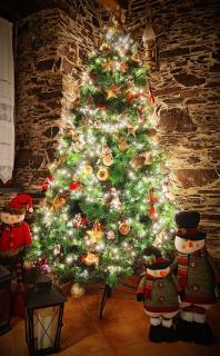 Talasnal Casa do Cascão - Lousã - 2