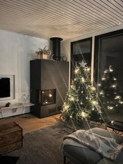 Arctic Riverside Villa - Rovaniemi - 1