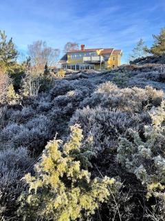 Lovely, bright apartment overlooking nature - Fiskebäckskil - 0