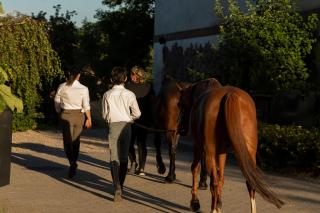 Gutshauszimmer Premium Doppel - 5
