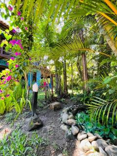 Casa na Praia do Rosa a 300m do Mar del Rosa - 7