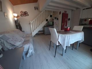 Villa Mitoyenne avec Jardin, Proche Plage à Seignosse, Piscine, Parking Privé et Wifi - FR-1-239-421 - Seignosse - 1