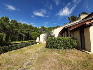 Maison moderne entre forêt et océan, avec jardin et terrasse. - FR-1-239-425 - Seignosse - 9