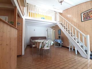 Maison moderne entre forêt et océan, avec jardin et terrasse. - FR-1-239-425 - Seignosse - 7