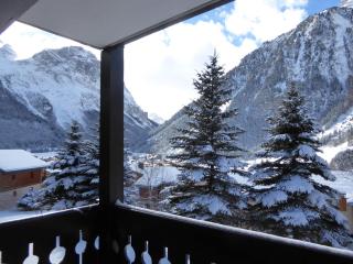Charmant 2 pièces près des pistes avec balcon et piscine chauffée - FR-1-464-9 - Pralognan-la-Vanoise - 8