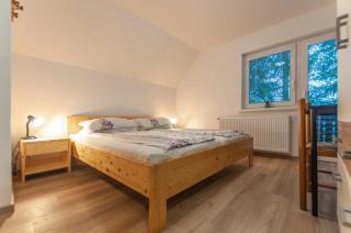 Apartment Ticar - Bohinj - 1