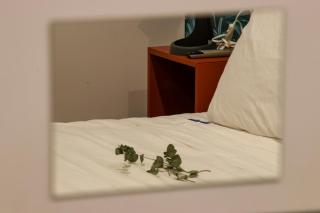 Apartamentos Abadía. - 7