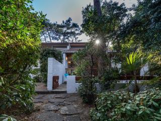 Studio duplex sous la pinède près de la plage, terrasse, au calme et proche des activités, Seignosse - FR-1-239-394 - Seignosse - 5