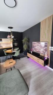 Superbe appartement dans un quartier neuf et calme - Strasburgo - 9