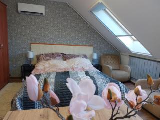 Summer House Apartman - Debrecen - 0