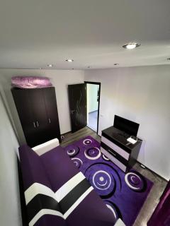 Berceni Sudului Cozy Apartment - Bucharest - 4