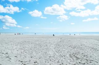 Ocean front comfy condo w/kitchen, sleeps 4, Snowbird Paradise - 4