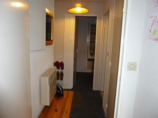Appartement au pied des pistes, 4 pers, terrasse, proche commerces, parkings gratuits, casier à skis - FR-1-602-110 - 1